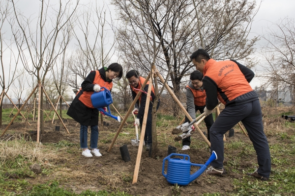 미래에셋생명은 12일, 서울 용산구 이촌 한강공원에서 임직원 봉사단 50여 명이 참여한 가운데 미세먼지 저감과 도심 속 숲 조성을 위한 봉사활동 ‘한강에 숲을 선물합니다’를 진행했다. 미래에셋생명은 이촌 한강공원에 2023년까지 면적 3천㎡에 달하는 ‘미래에셋생명 숲’을 만든다. 사진=미래에셋생명 제공