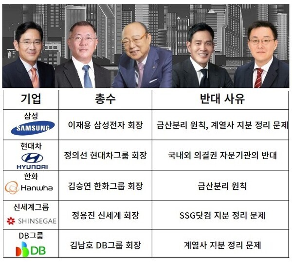 ▲ 지주사 체제 전환 중인 주요 그룹 현황. [뉴스락 편집]