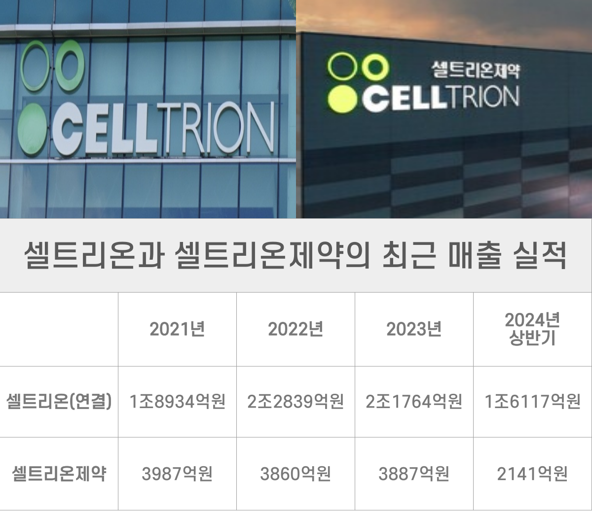 뉴스락 특별기획 : 불확실성의 시대, 새 판 짜는 제약바이오 ⑥ 셀트리온그룹] 서정진式 투트랙 통합, 넘어야 할 산이 많다 < 특별  심층기획 < 기획 < 기사본문 - 뉴스락