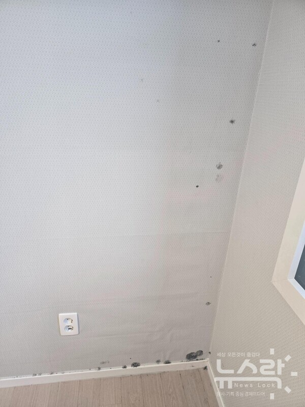 문제의 곰팡이 방이다. 물 얼룩으로 인해 사전에 AS를 받았으나, 겨울이 되자 곰팡이가 확산되기 시작했고 A씨는 옷과 물건을 폐기해야 했다. 심지어 곰팡이 냄새때문에 현재 그 방은 사용하지 못하고 있다. 사진=보배드림 [뉴스락]
