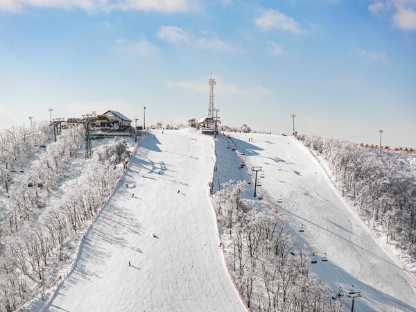 휘닉스 스노우파크 슬로프 전경. 휘닉스 파크 제공 [뉴스락]