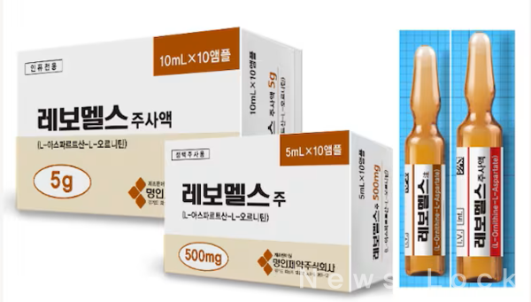 레보멜스주사액. 약학정보원 제공 