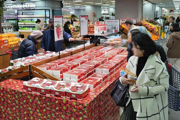 롯데마트가 오는 27일부터 다음달 3일까지 ‘윈터 해피딜’ 기획전을 진행해, 딸기를 비롯한 제철 과일과 홈파티 메뉴, 크리스마스 용품 등 겨울 시즌 상품을 최대 50% 할인한다. 롯데마트 제공 [뉴스락]